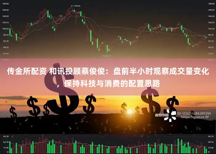 传金所配资 和讯投顾蔡俊俊：盘前半小时观察成交量变化，保持科技与消费的配置思路