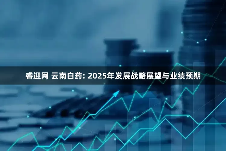 睿迎网 云南白药: 2025年发展战略展望与业绩预期