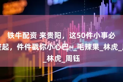 铁牛配资 来贵阳，这50件小事必须整起，件件戳你小心巴~_毛辣果_林虎_周钰