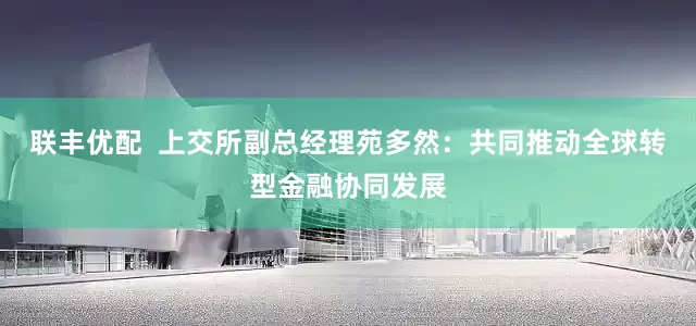 联丰优配  上交所副总经理苑多然：共同推动全球转型金融协同发展