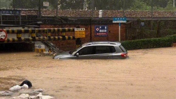棒棒策略 小车被冲入桥洞 警民携手救援 暴雨中的果敢与温度