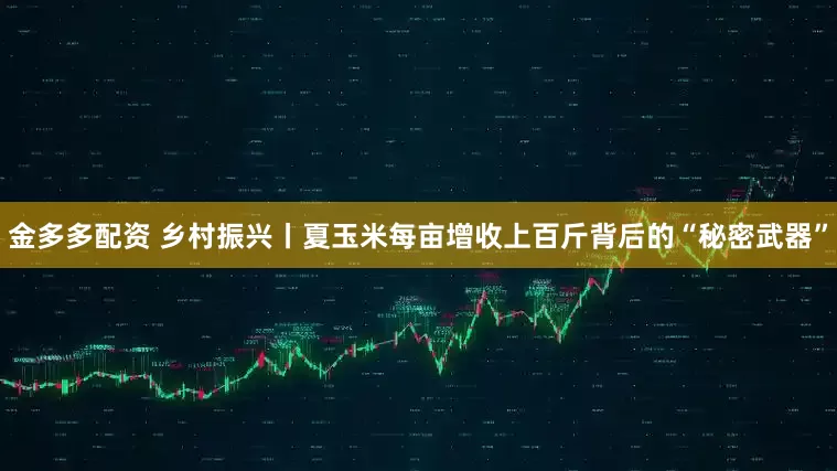 金多多配资 乡村振兴丨夏玉米每亩增收上百斤背后的“秘密武器”