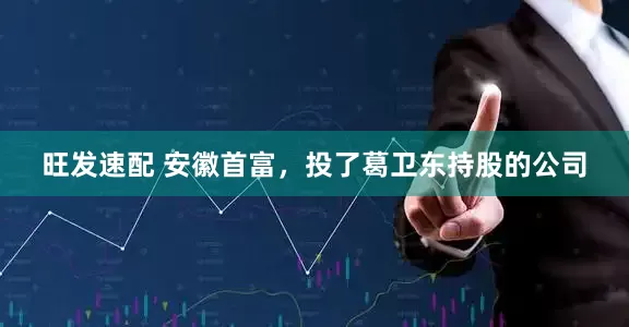 旺发速配 安徽首富，投了葛卫东持股的公司