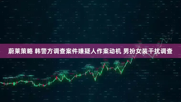 蔚莱策略 韩警方调查案件嫌疑人作案动机 男扮女装干扰调查